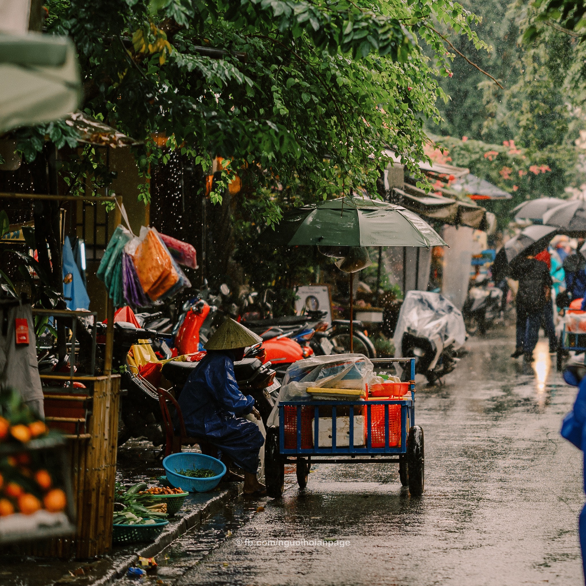 Vietnamese street pedlar